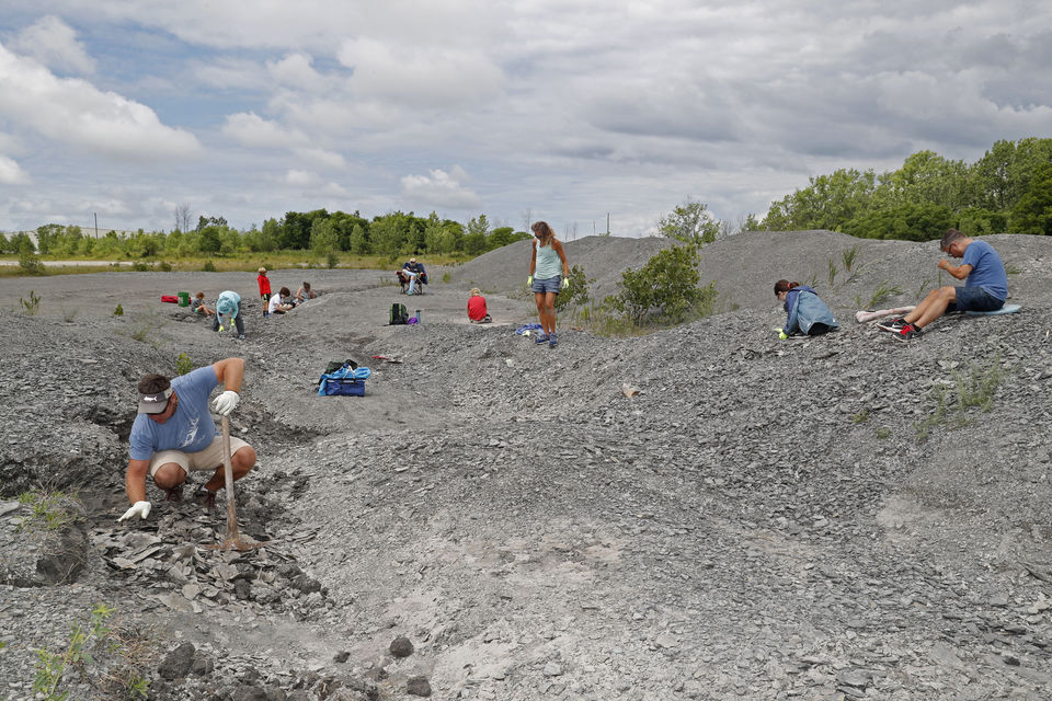 Penn Dixie Fossil Park multiple families